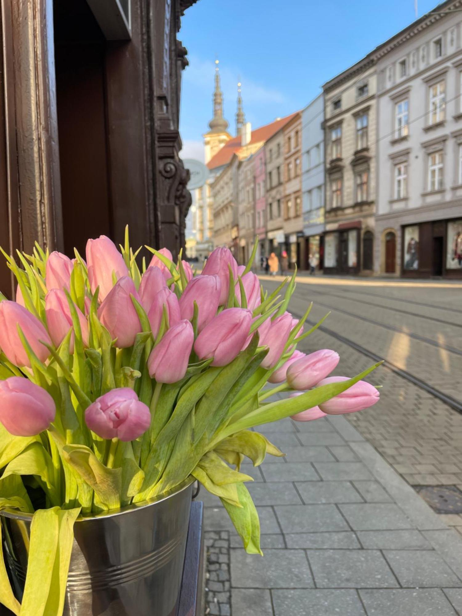 Kovarik Apartments I Olomouc Exterior foto